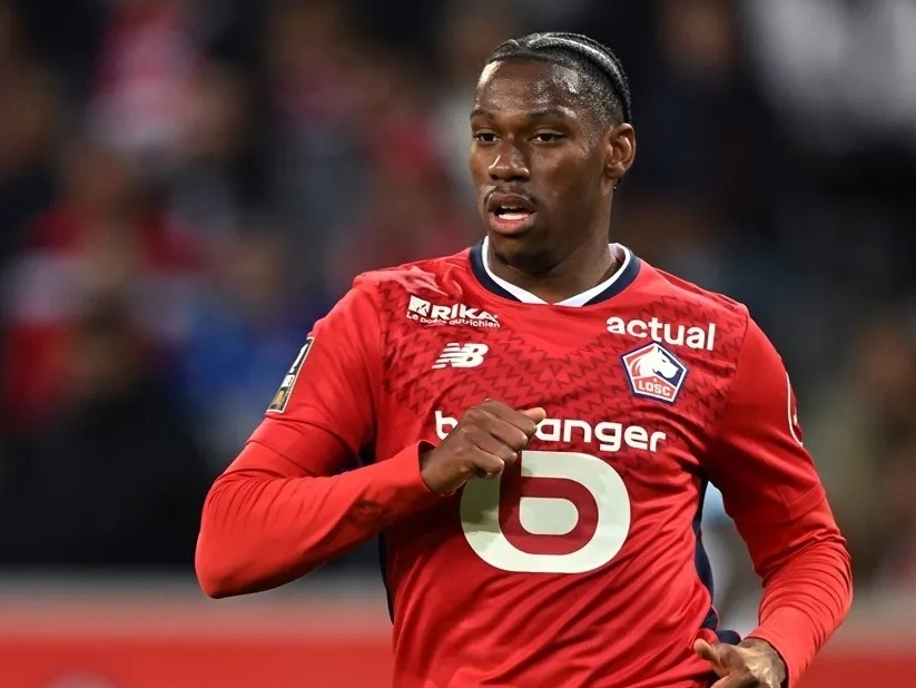 多的动力去 多的动力去