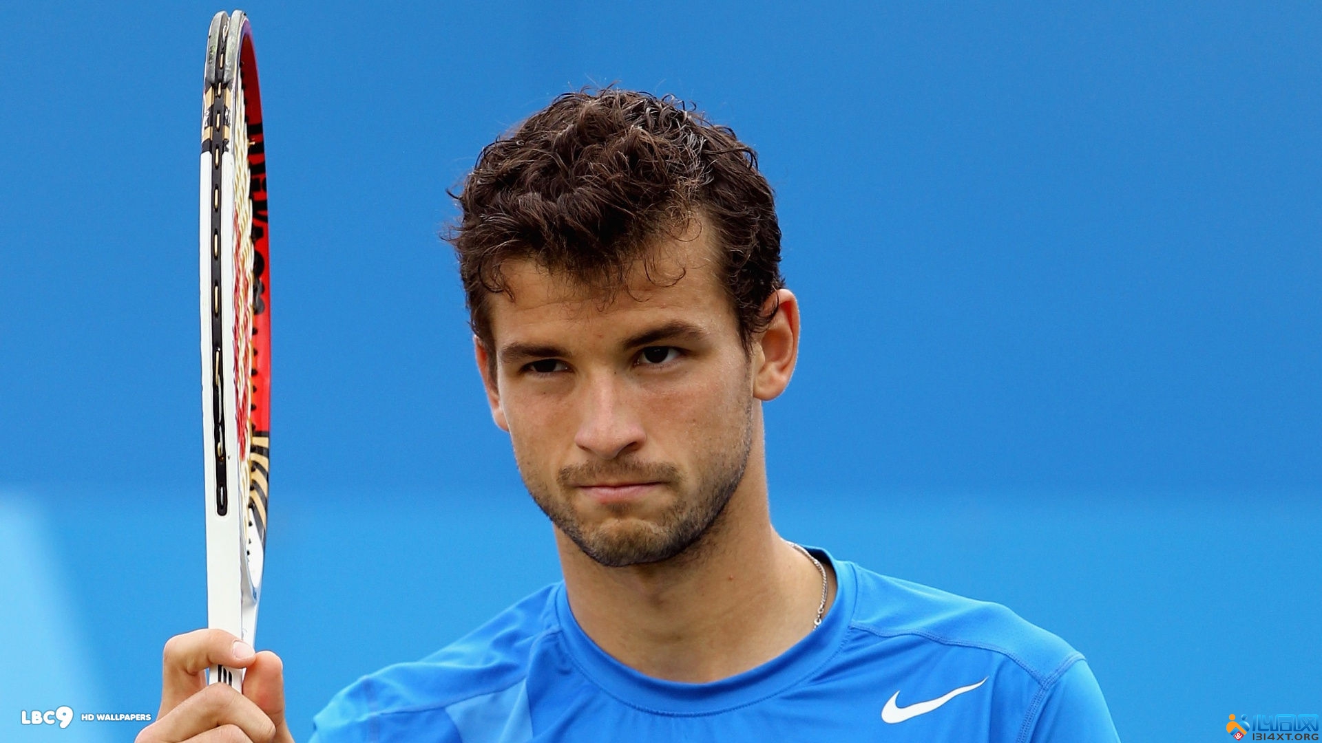 这次体育嘉 这次体育嘉